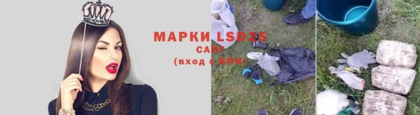 бошки Белокуриха