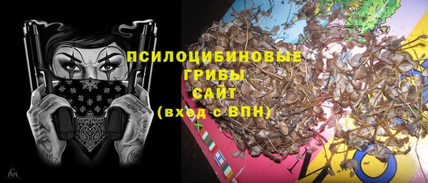 бошки Белокуриха