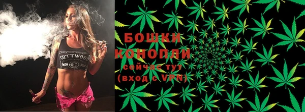 бошки Белокуриха