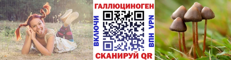 Галлюциногенные грибы прущие грибы как найти закладки Славгород