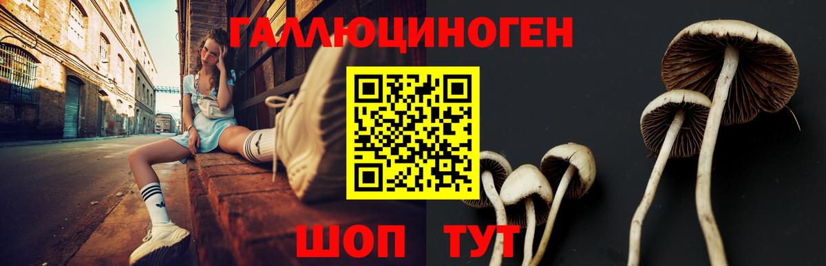 Псилоцибиновые грибы MAGIC MUSHROOMS  Вход с VPN  Славгород 