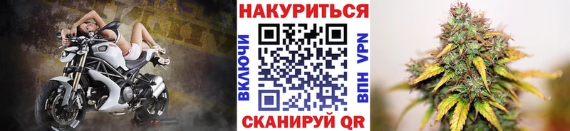 Бошки Шишки планчик  Славгород 